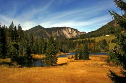 开云官方app入口-勇士对阵步行者，米切尔状态火热，点燃赛场烽火