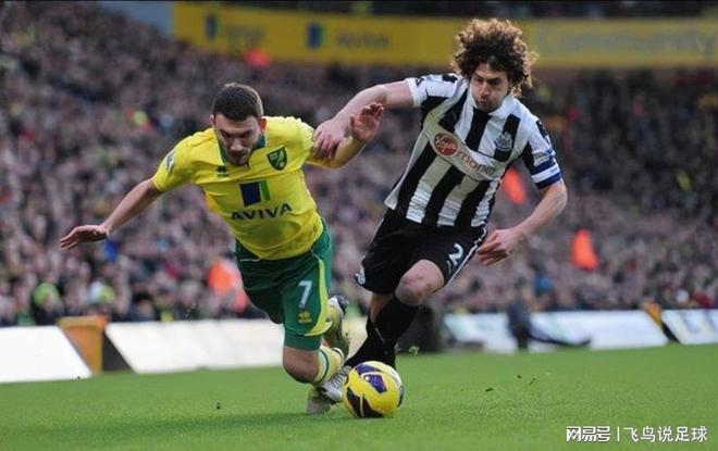 诺维奇苦战逼平对手，保级希望依然渺茫的简单介绍