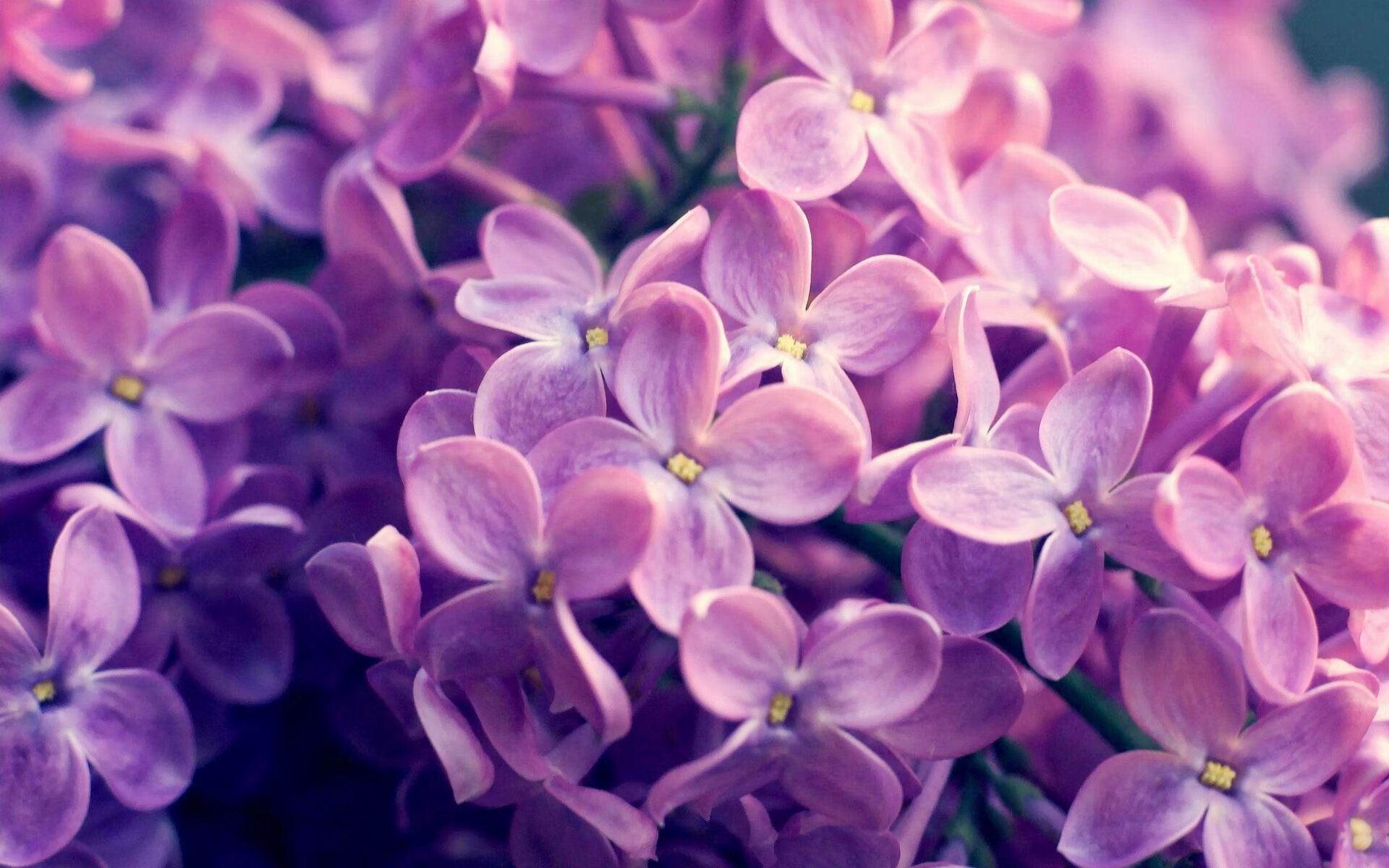 意甲焦点战之夜，巴斯托尼如何以一己之力主宰比赛走向