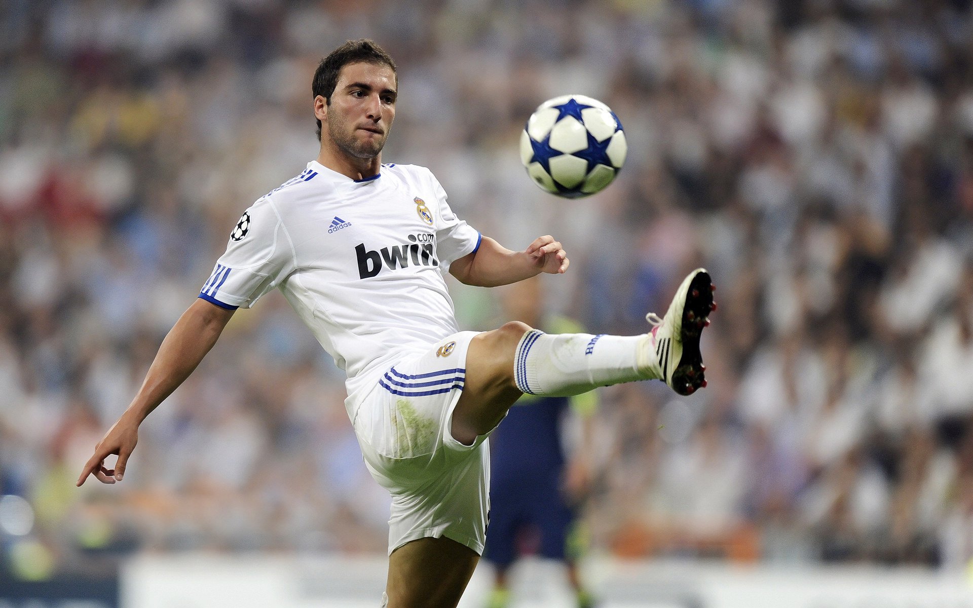 稳定如磐石,小贾伦持续输出助森林狼完胜辽宁队